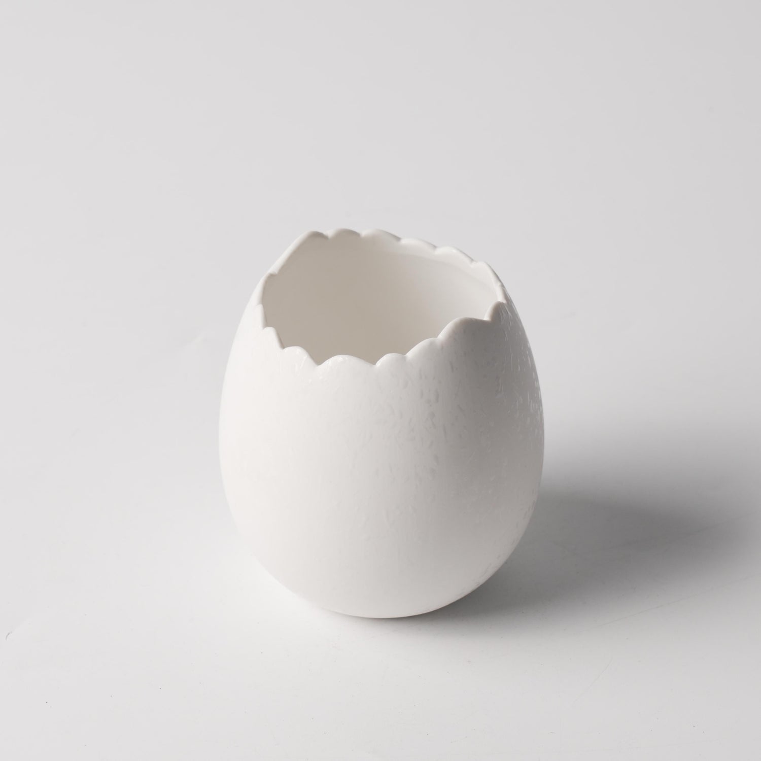 Pearl White Dot Collection