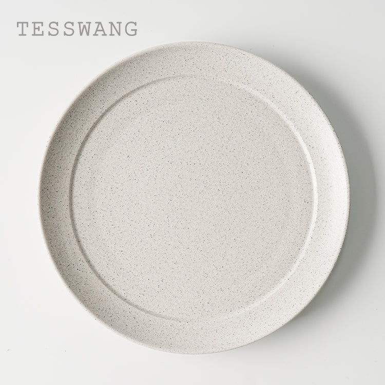 Coarse Stone Dinner Plate 9.75" — Speckled Stoneware Main Course Plate
