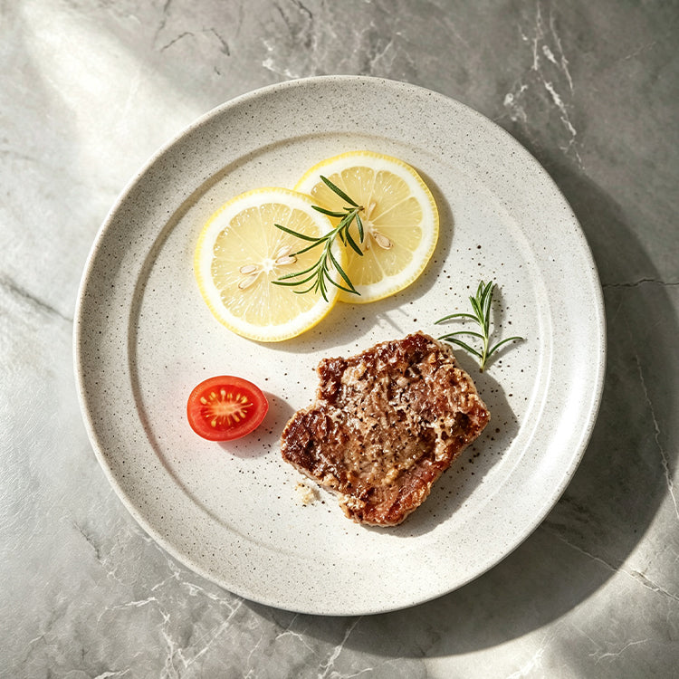 Coarse Stone Dinner Plate 9.75" — Speckled Stoneware Main Course Plate