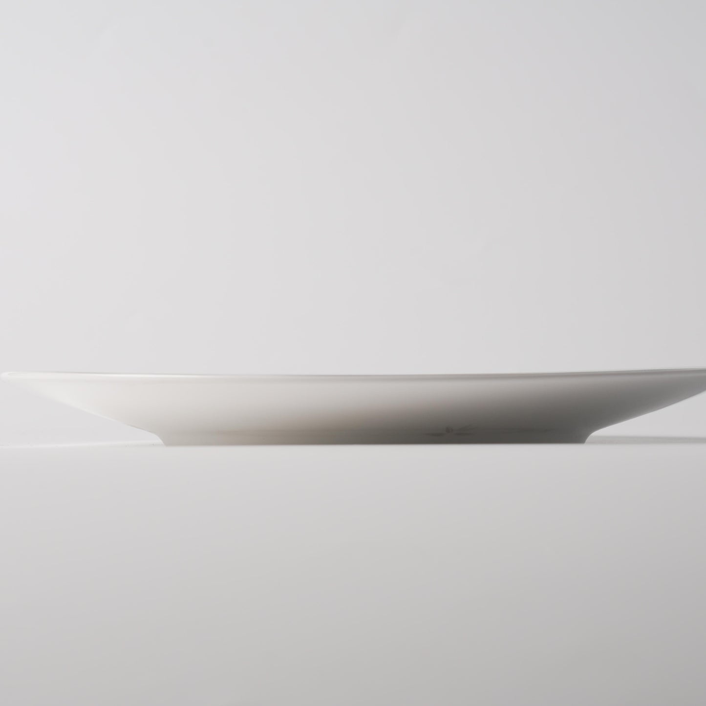 Bamboo Shadow Ceramic Dinner Plate