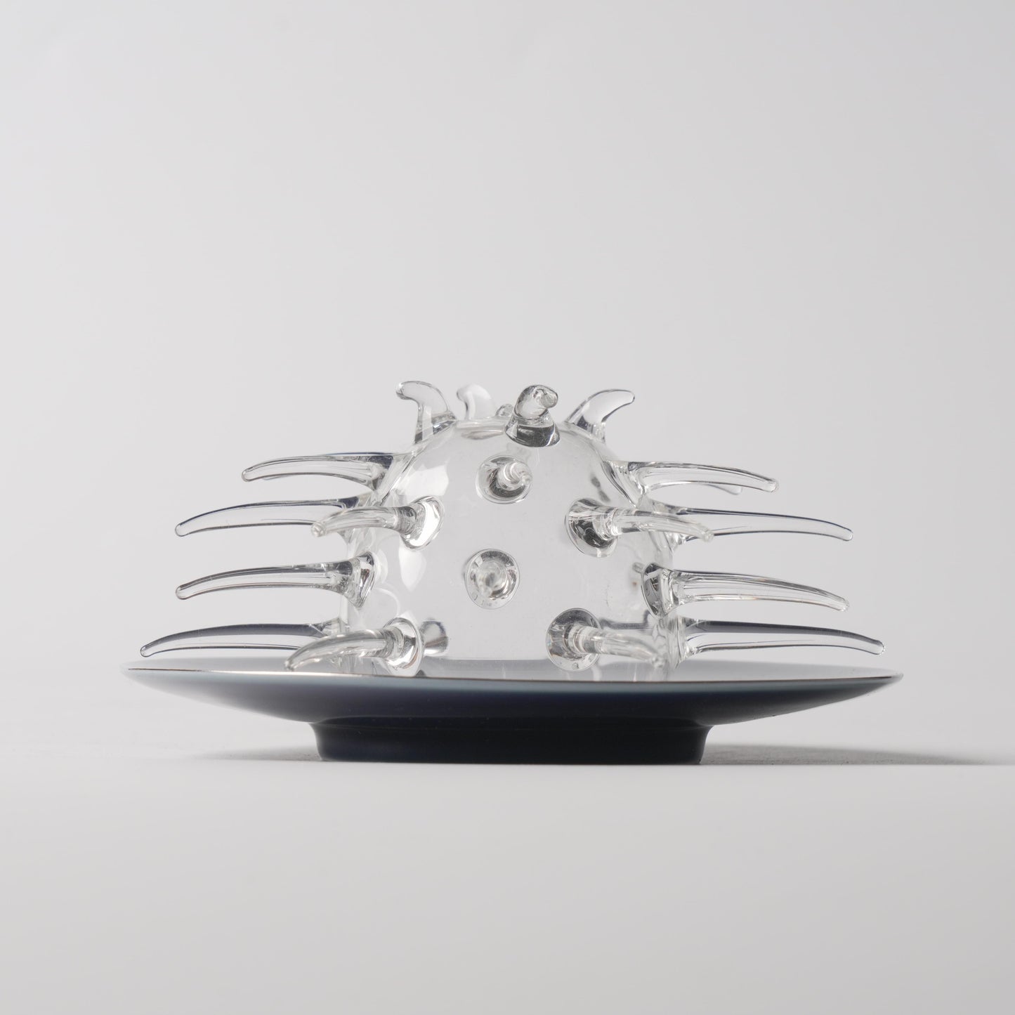 Silver Bamboo & White Gold — 6.5" Tengyun Saucer & 3" Hand-Blown Glass Sea Urchin Cup